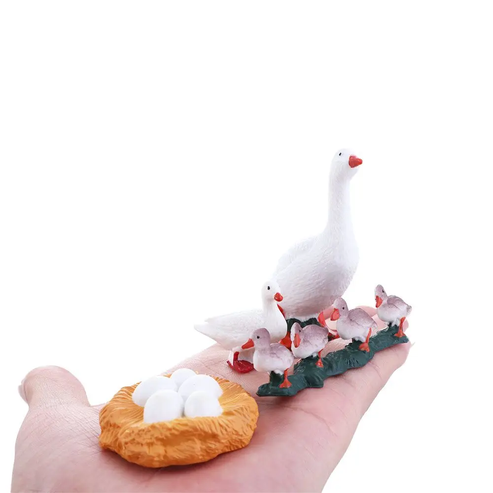 4pcs/set Miniature Swan Model Educational Toys Hen White Goose Cycle Duck Figurine Growth Cycle Simulation Life Figures