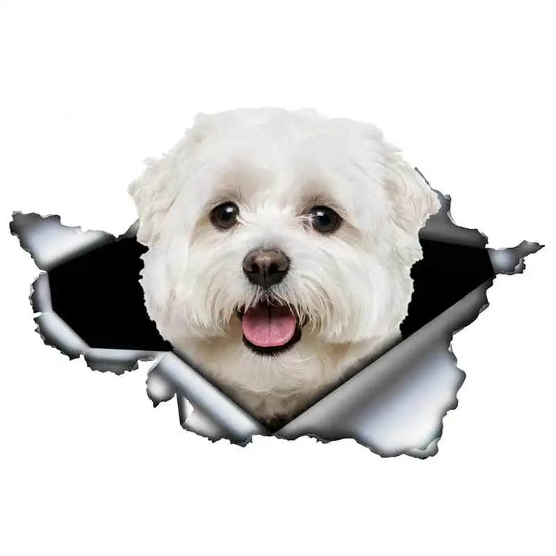 

1 Pcs Cute Maltese Car Sticker Pet Dog Car Decoration Torn Metal Decal Reflective Sticker Waterproof Car Styling14cm*10cm