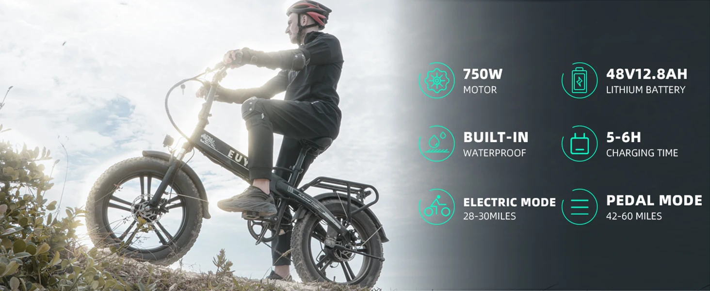 folding electric bike
