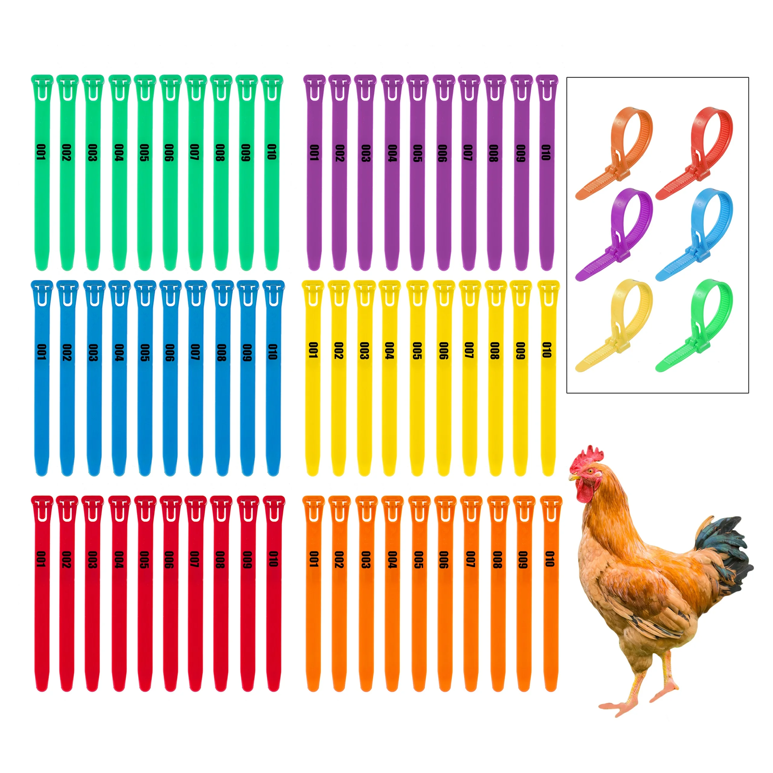 50 pezzi ~ 25 pezzi anello regolabile per piede di pollo 6 colori identificativi numerati anelli per gamba clip per polli di pollame anatre oche pappagallo  15