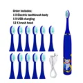 Blue 12heads