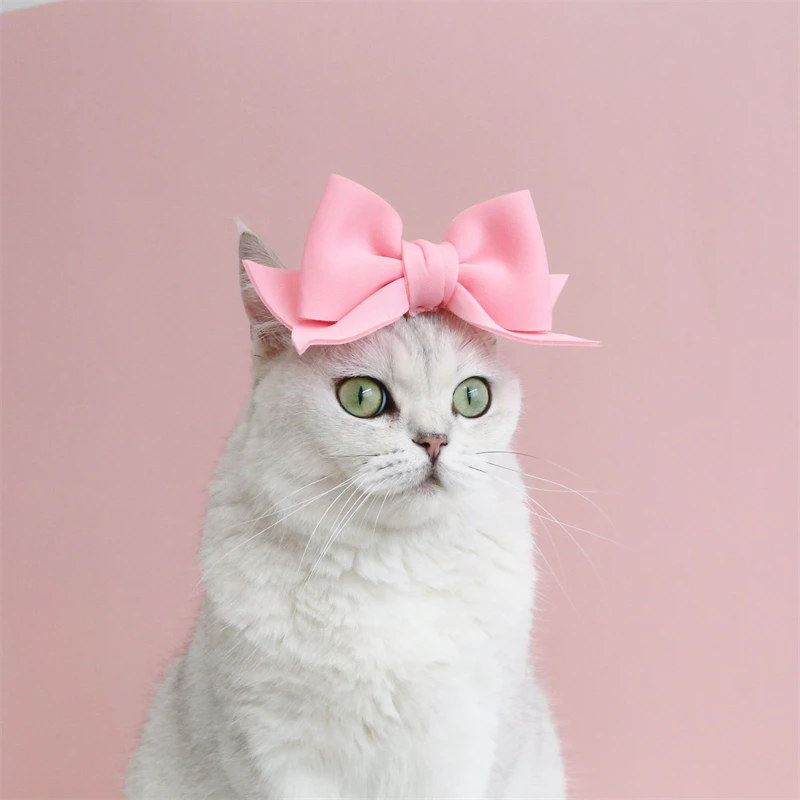 Chapéu E Óculos De Gato Para Pets - Fantasia Halloween