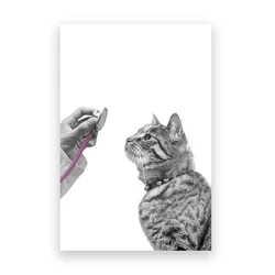 Pet Care Animal Art Canvas: Black & White Photography for Veterinary Office Decor (PC12934)