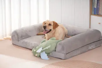 PETFULED Gem Flying Dragon Dog Heartbeat Toy,Puppy Separation stress Toy, Puppy Behavioral Training Aid for Dog Sleep Aid Plush 7