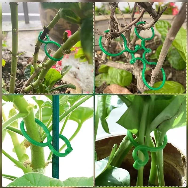 10/20/50/100 Pcs 직립 식물 홀더 성장을위한 포도 나무 달아서 클립 녹색 플라스틱 번들 링 정원 스탠드 도구 포도 나무 지원