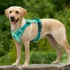 Dogs Chest Strap Dog Harness and Leash Set Small Pet Supplies Puppy Accessories Big Breeds Pets Backpack Large Collar 5