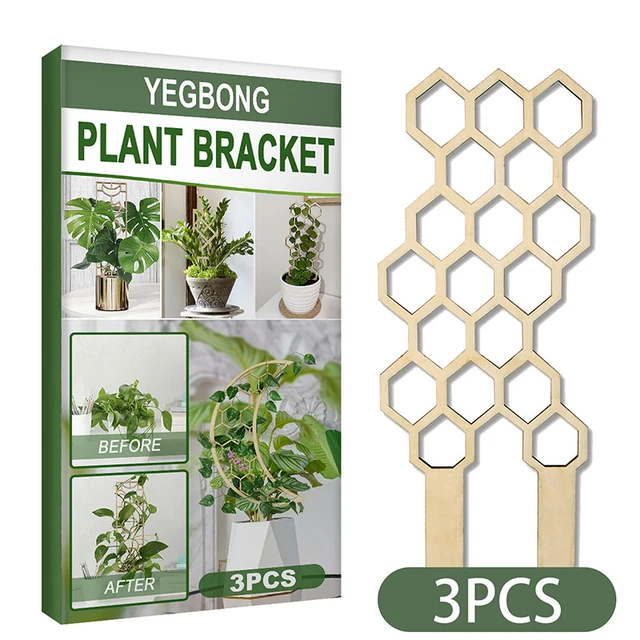 Bee Trellis and Honeycomb Pattern (2 pack)