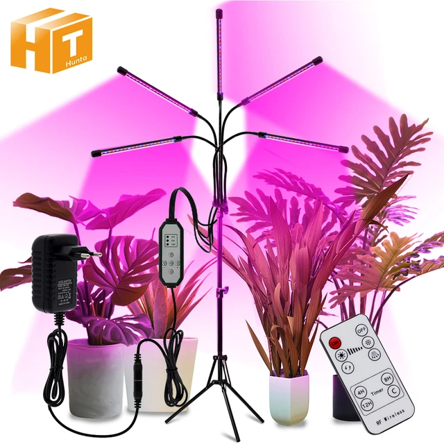 Lampe LED pour culture de plantes, USB, spectre complet, intensité réglable  à 5 niveaux et minuterie, éclairage pour tente/chambre de culture de fleurs  - AliExpress