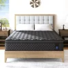 Queen Mattress,14 Inch Hybrid Mattress Black,Euro Top Mattress Medium Firm for Back & Lumbar Support,100 Night Trial, Individual 2