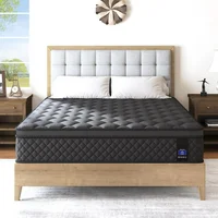 Queen Mattress,14 Inch Hybrid Mattress Black,Euro Top Mattress Medium Firm for Back & Lumbar Support,100 Night Trial, Individual 2