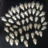 1pcs Pieces of Sea Turtle Skull Crafts Jewelry, Educational Taxidermy Monster Skull Specimen Collection 3