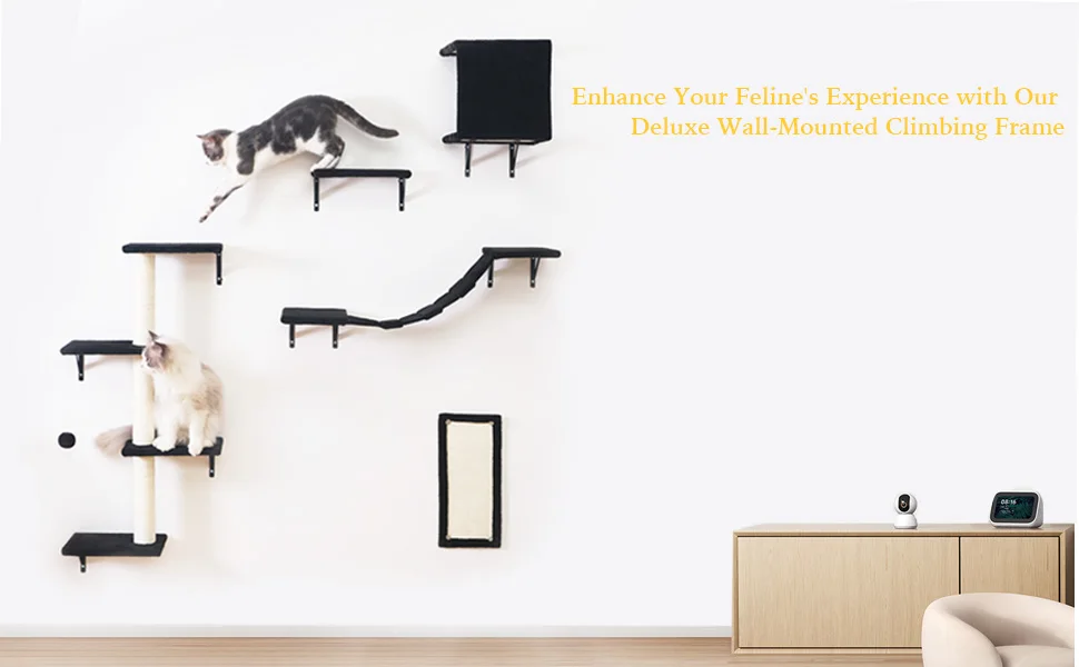 CAT wall