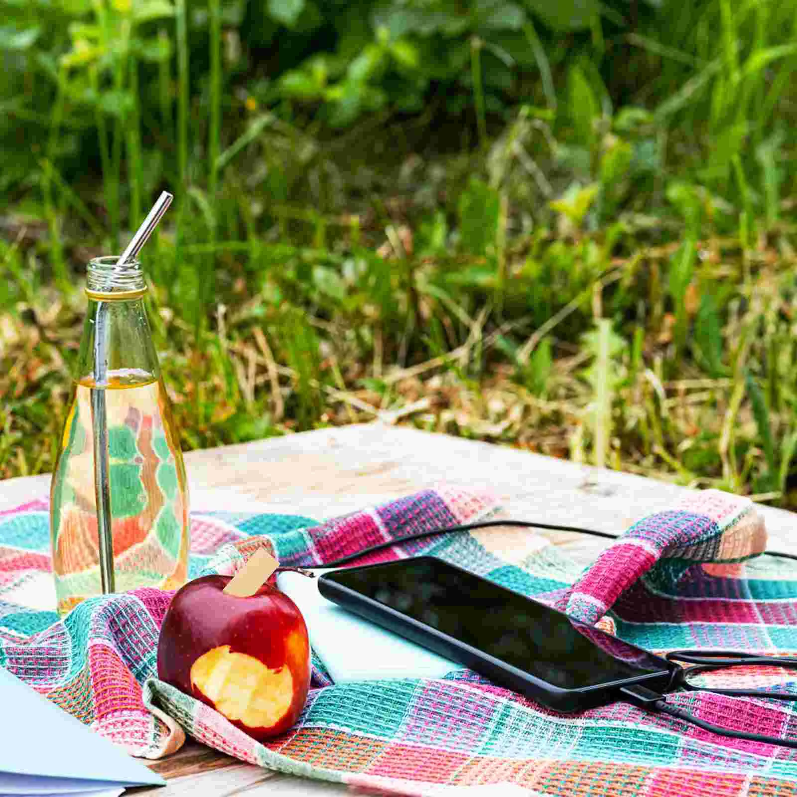 Zinc Sheet Copper Strips Scientific Experiment Supplies Pin-type Materials Fruit Experimental Power Juicers