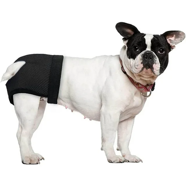 Cane Mutande Igieniche Impermeabili Mutanda Cane Femmina