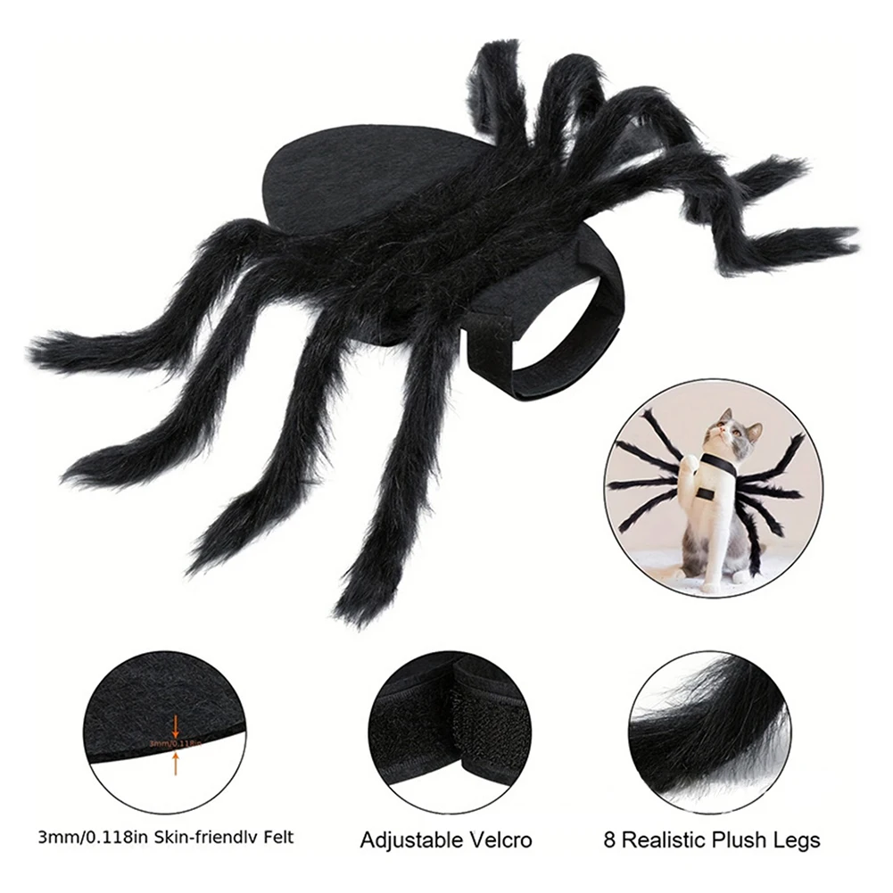 زي تنكري العناكب لحفلات الكلاب والقط