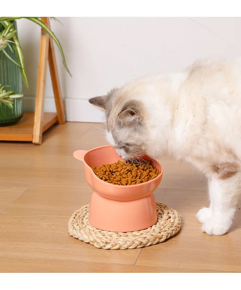 Title 10, High Legged Cat Bowl Nordic Style Tilted Cartoo...