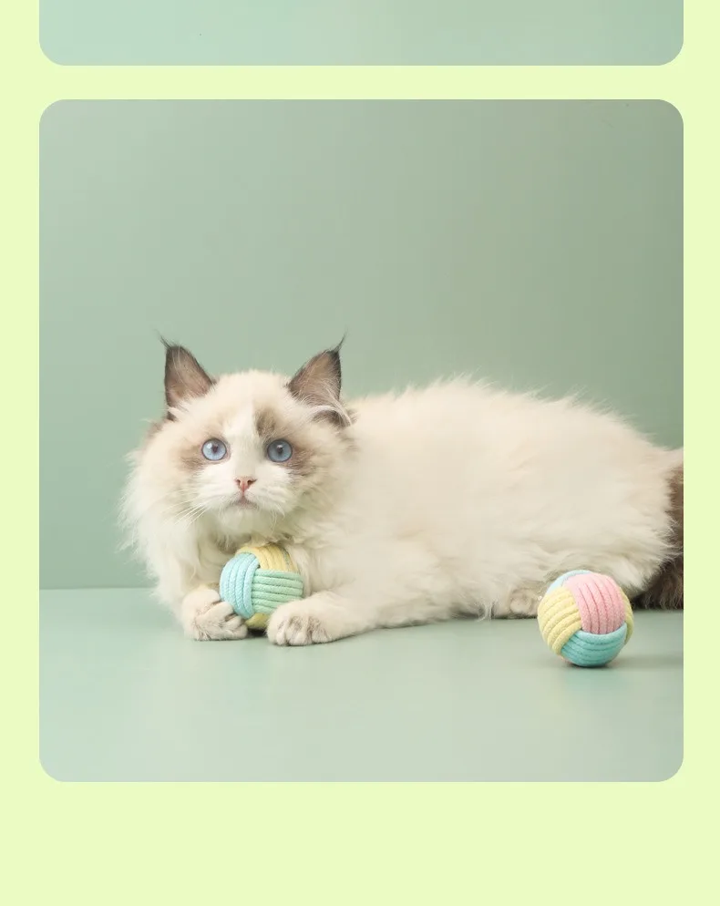 Title 4, Cat Toy Pet Ball