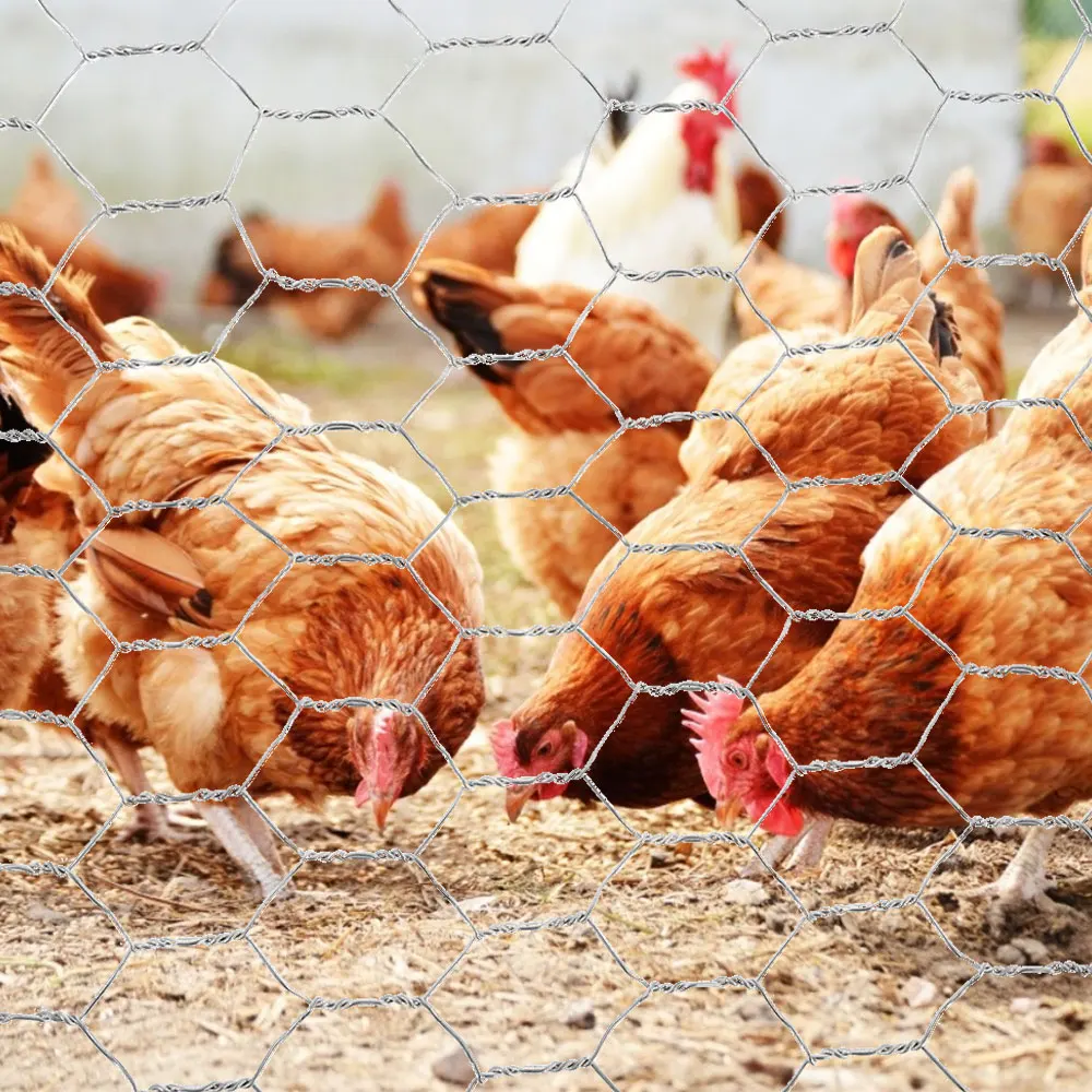 Metal Wire Netting Chicken Rabbit Poultry Fence Netting Crop Protection Net Hexagonal Galvanized Mesh Farm Garden Accessories