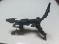 Black dog