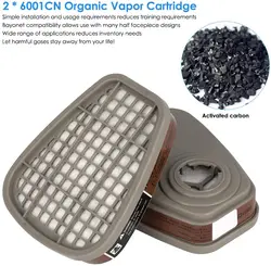 Organic Activated Carbon Filter Cartridges for Gas Respirators - Ideal for Painting and Spraying (6001 - 1Pair)