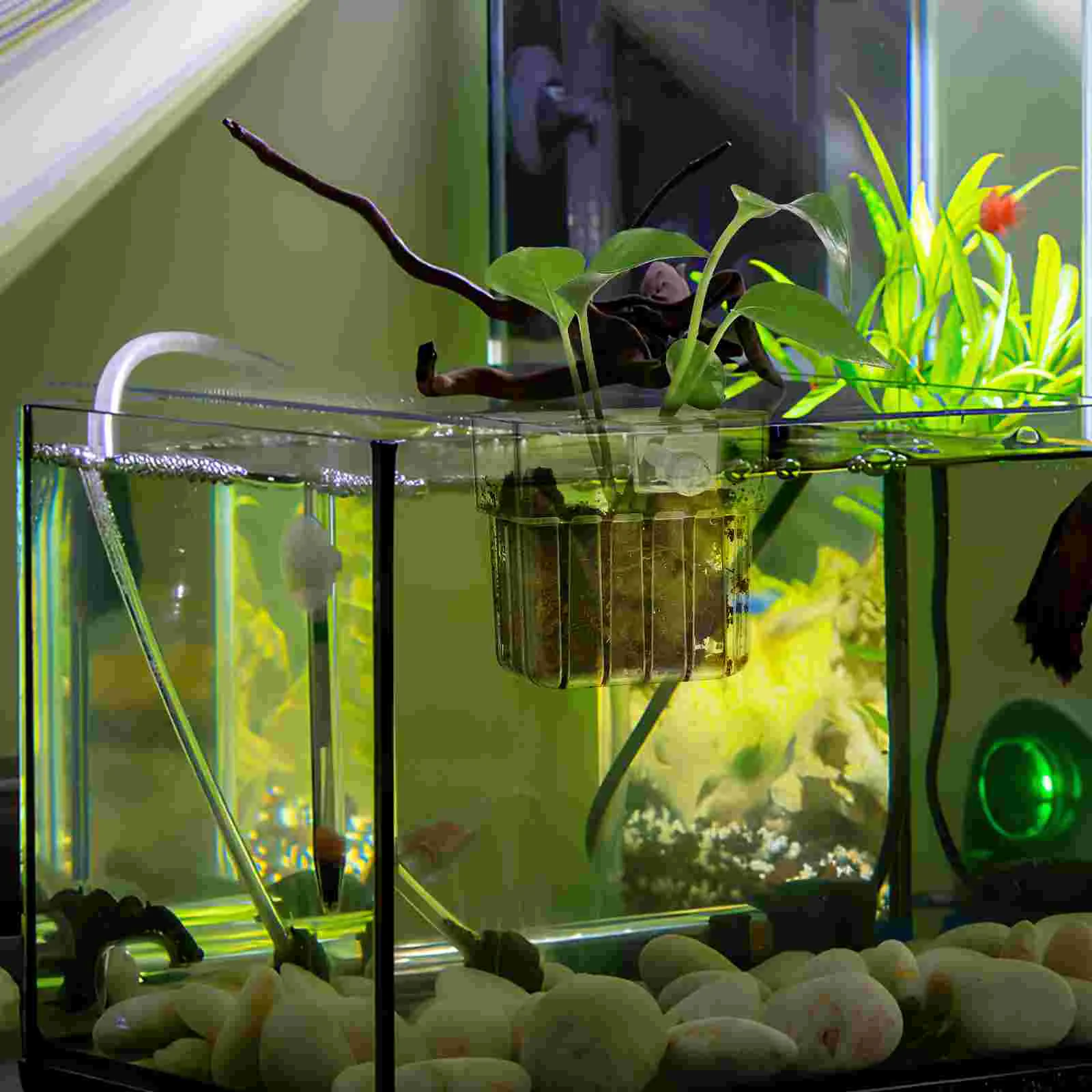 4 Pcs Hydroponic Plant Cup Aquatic Planter Sponge Holder Stand Aquarium Pots Acrylic Decoration Fish Tank