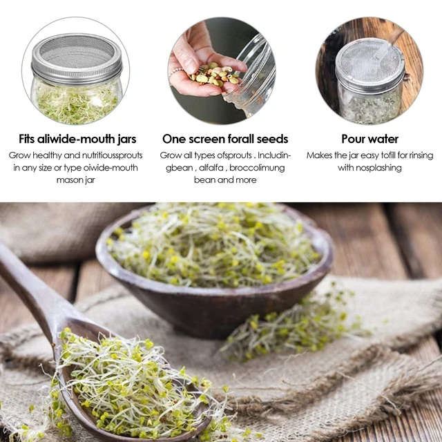Kőműves Edény Csírázó Fedelek Óvodai Rozsdamentes Acél Vetőmag Hálószűrő Szűrő Jar Kerti Üvegház - Image 5