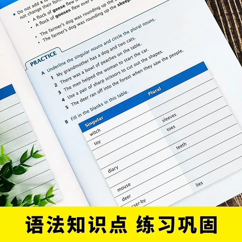 Singapore English Grammar Set 3