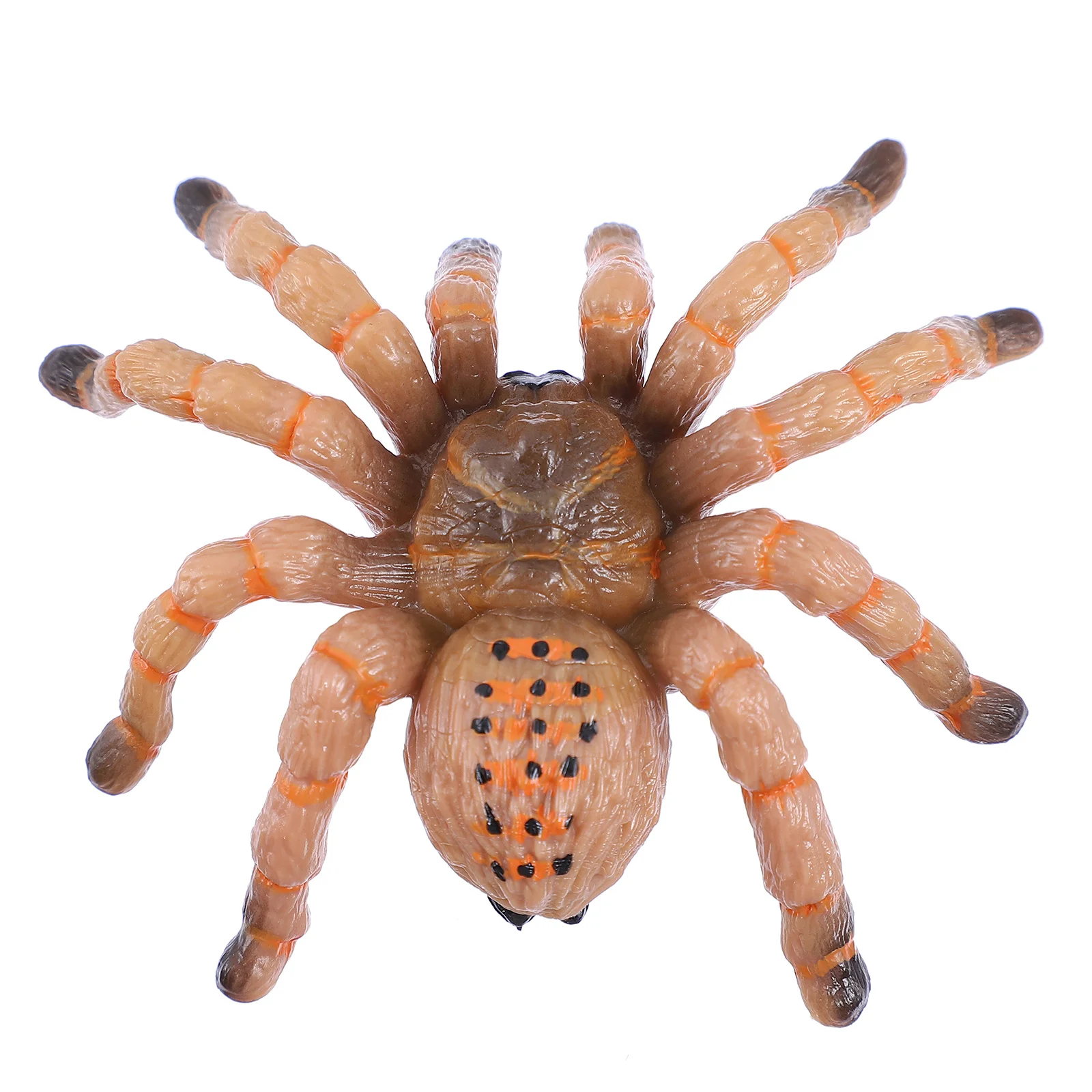 

Stimulation Insect Model Plastic Spider Toy Decor Halloween Tricky Toy