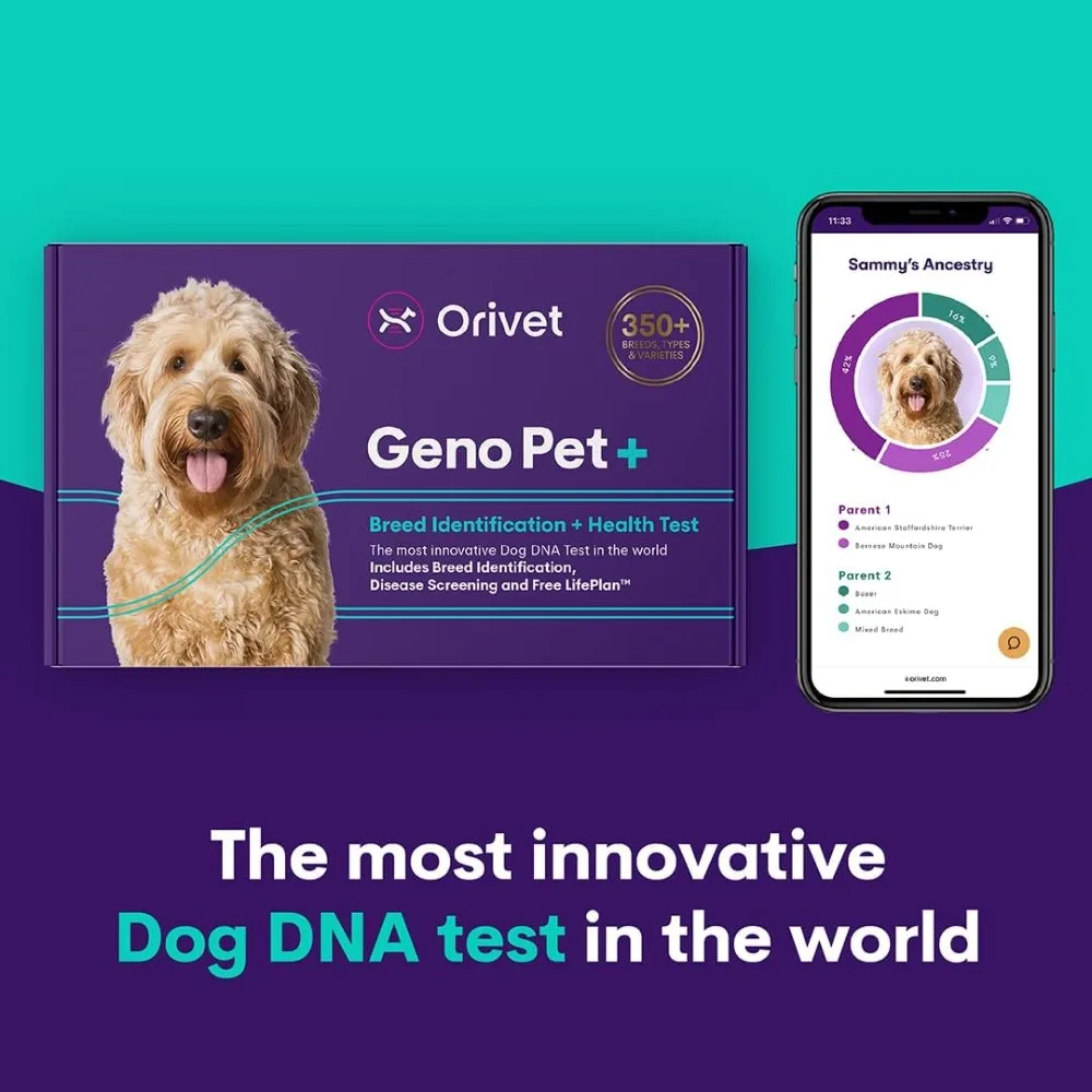 Dog DNA Test Comprehensive Dog Breed Test Kit Genetic Testing and Life Plan GenoPet+ for Canines Pet Strips