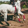 4 Pcs Horse Leg Wraps Sport Boots Set Breathable Leg Protection Support  Easy To Wear Horse Leg Wraps Equestrian Accessories 3