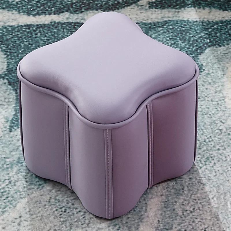 

Fashion Office Footrest Colorful Solid Wood Step Stool Multi-functional Hallway Ottoman Unwashing Design Changing Shoe Stool