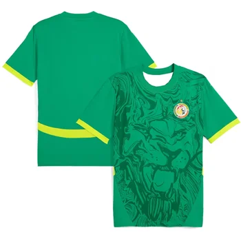 Senegal Football T Shirt Jersey Unisex Daily New Summer Outdoor Sport Quick Dry Casual Loose Breathable Fashion Jersey Tops Tees 1