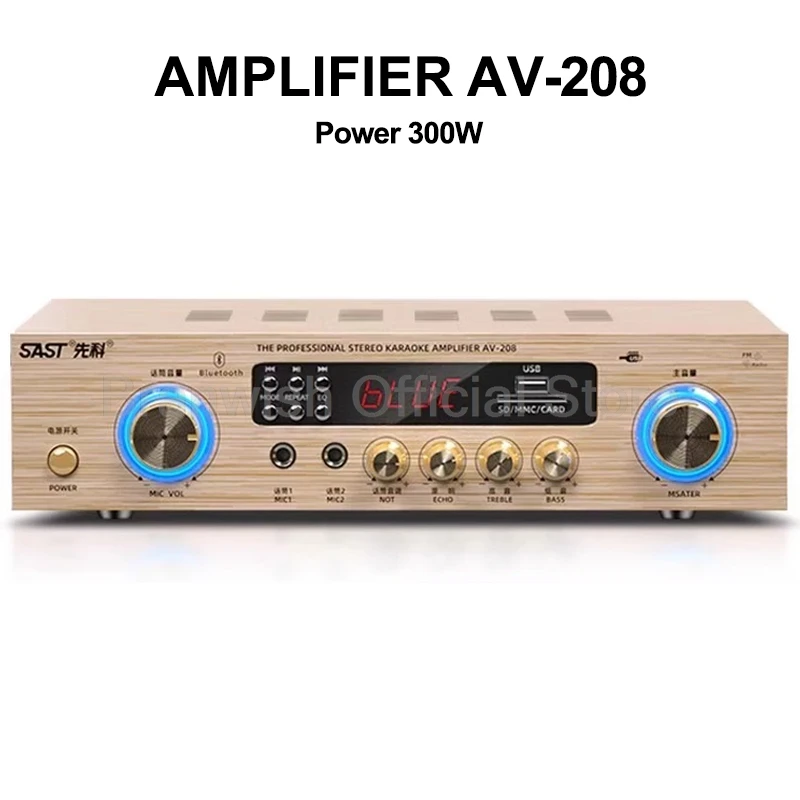 300W Amplifier x1