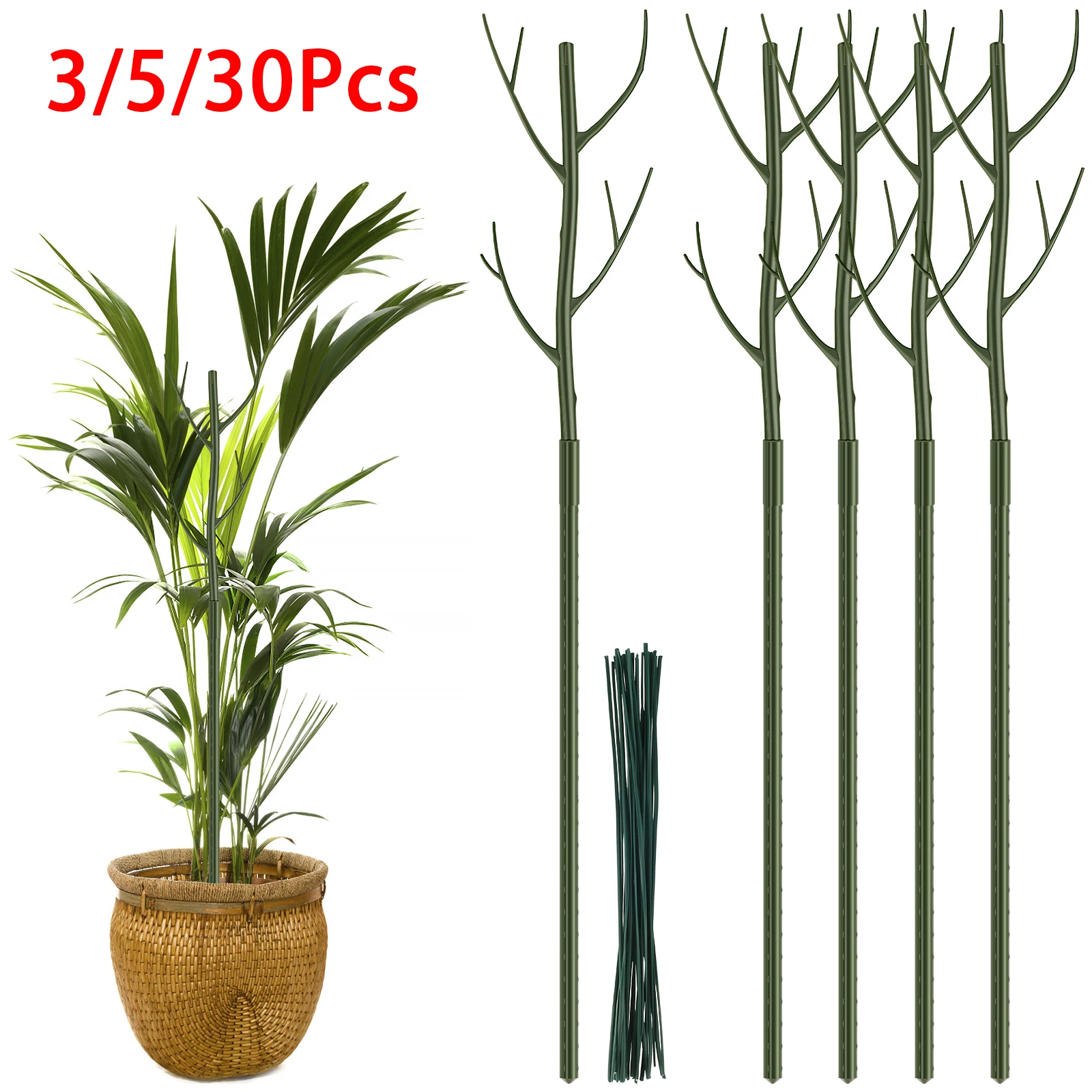 Dracaena Magenta enkele stam | Green is
