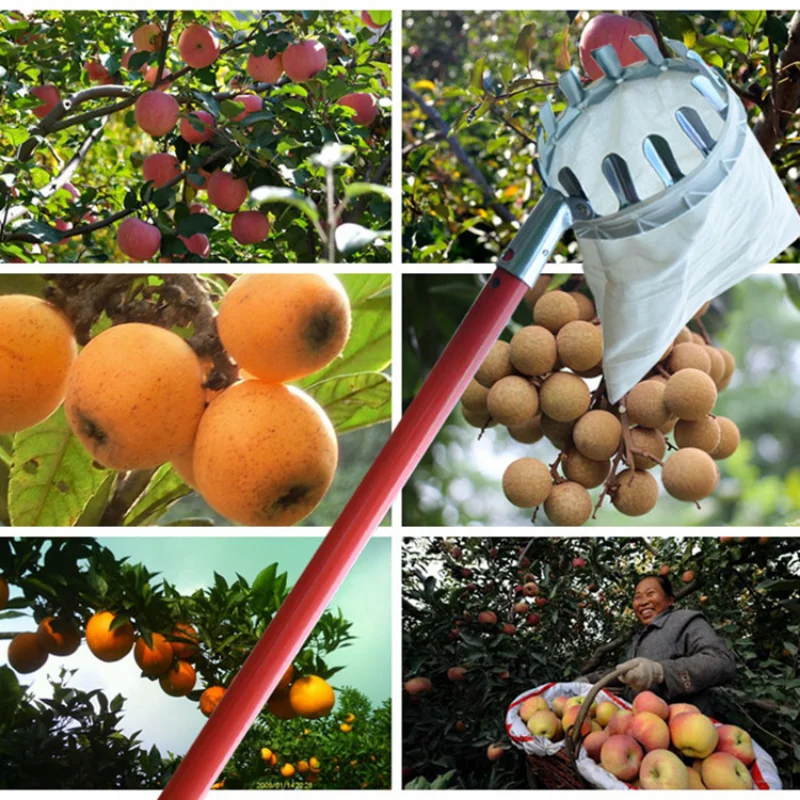 

Metal Fruit Picker Orchard Gardening Apple Peach High Tree Picking Tools Fruit Catcher Collection Pouch Farm Garden Supplies