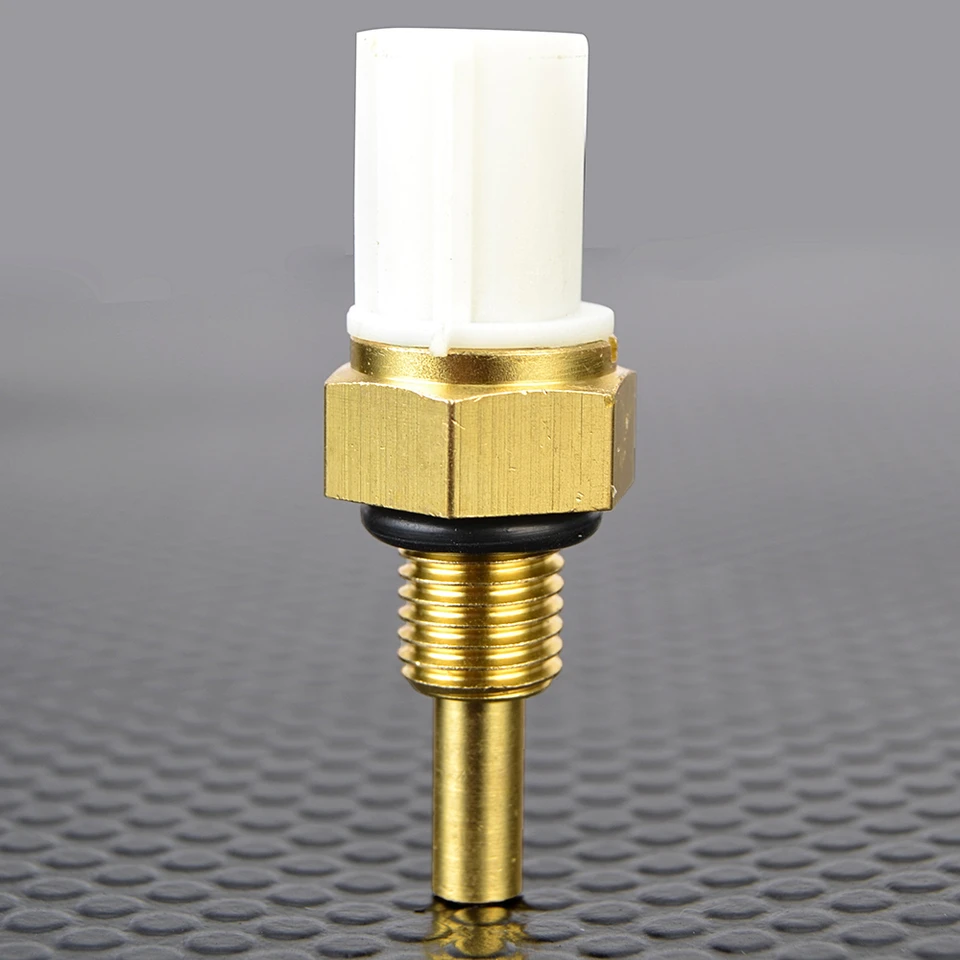 Sd15341a72a584fcf9a3e0c5a079d5