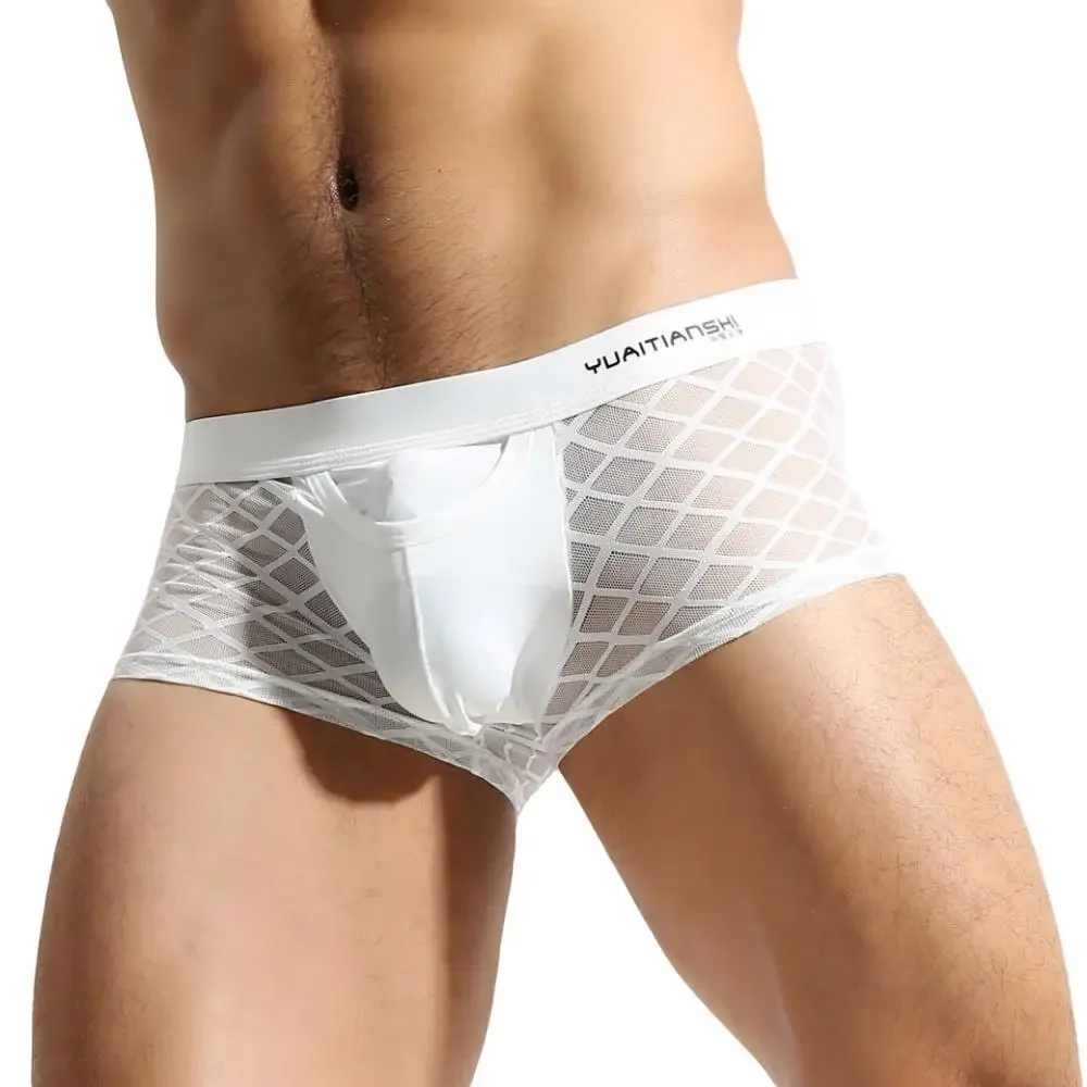 

Sexy Mens Mesh Underwear Lace Underpants Transparent Fishnet Boxers Briefs Low Waist Male Panties Lingerie Boxer for Man