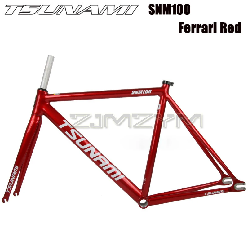 TSUNAMI SNM100 Chameleon 55CM　フレーム Chameleon Frame TSUNAMI SNM100 Fixie Frame Single Speed