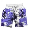 2024 Summer Oversized Casual Men's Drawstring Shorts Quick Dry Hawaii Holiday Sports Swimming Trunks Coconut Tree Printed Shorts 3