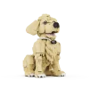 11417-199fcf.png 1754PCS Golden Retriever Building Blocks Animals Pets Dog Model Toys DIY Assembly Bricks Ornament Holiday Gifts For Kids Adult