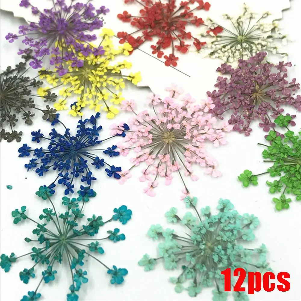 Slide image e1e7593cd1814662ac7ea4888e504666