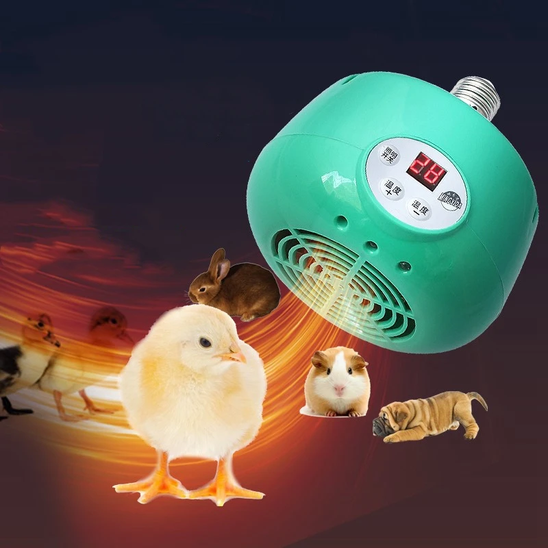           ֿ  µ , ťͿ µ  