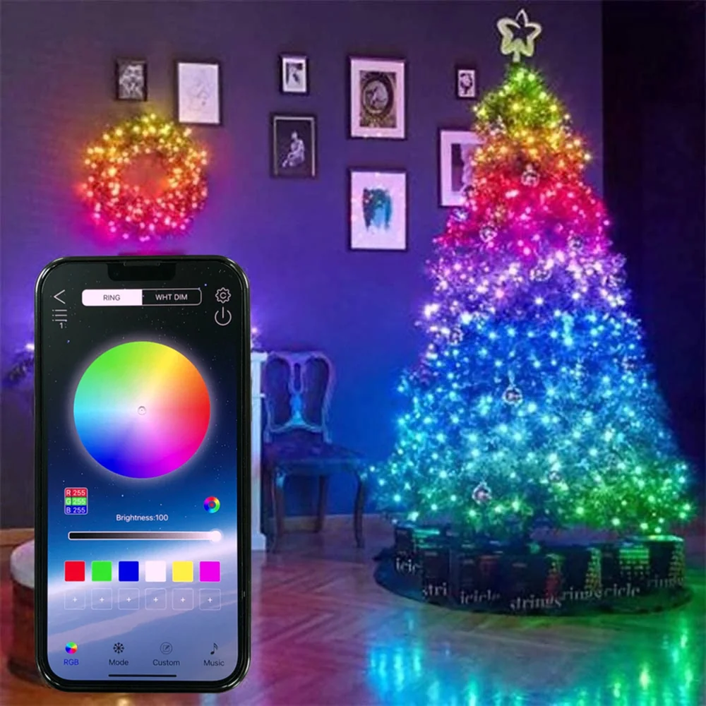 Usb Smart Bluetooth Led Copper Wire String Light 10m/20m/30m App