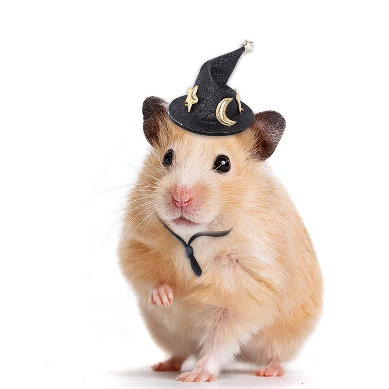 Mini Witch Hat for Small Animals Adjustable Pet Headgear Hamster Rat Hats Halloween Cosplay Clothing guinea pigs assessories small animal clothes pet headgear