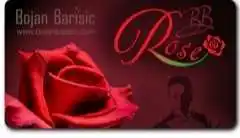 

2020 BB Rose от Bojan Barisic, волшебные трюки