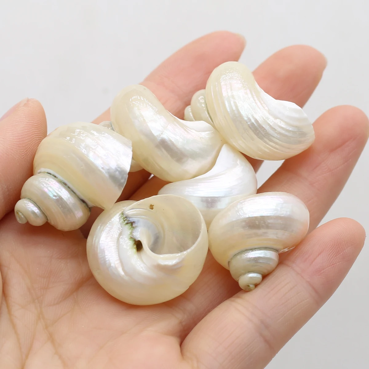 5-10pcs ڿ ȭƮ    ִ  DIY  м  ڵ ü  ׼
