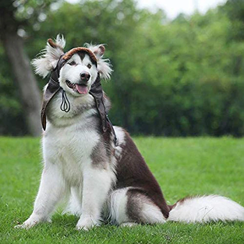 

Winter Pet Dog Hat Comfortable and Warm Flying Hat Autumn and Winter Retro Cashmere Dog Helmet Small and Medium Dog Supplies