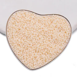 Vibrant 2mm Glass Seed Beads for Jewelry Crafting Projects (1000 Pieces) (Light Orange)