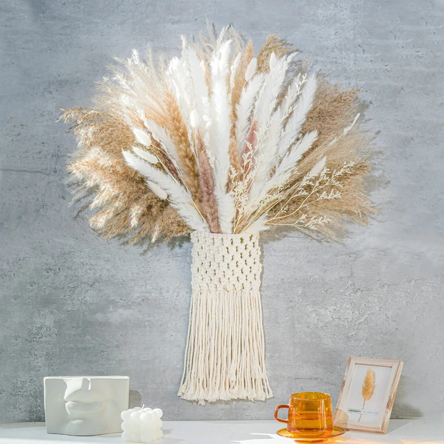 Natural Dried Flowers Pampas Grass Preserved White Eucalyptus Leaves  Bouquet Bunny Tails Bouquet Wedding Home Halloween Decor - Artificial  Flowers - AliExpress