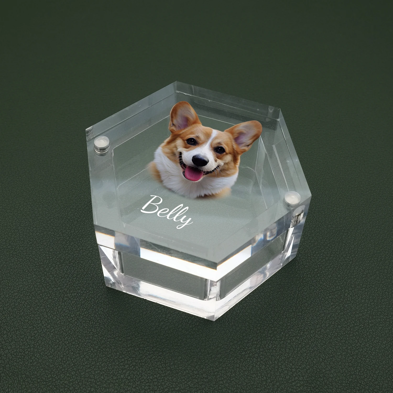 Personalized Pet Memorial Box Pet Fur Box with Photo Keepsake for Dogs and Cats Memorial Gift for Lover
